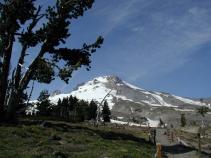 mt_hood2.jpg 7.9K